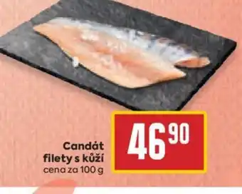 Candát filety s kůží cena za 100 g