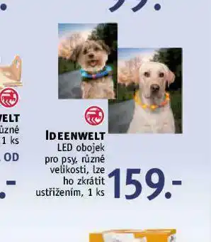 Rossmann Led obojek pro psy nabídka