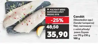 Kaufland Candát nabídka