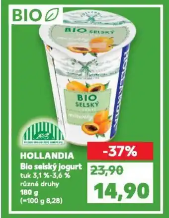 Kaufland HOLLANDIA Bio selský jogurt nabídka