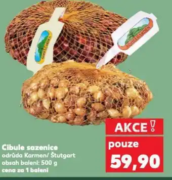 Kaufland Cibule sazenice nabídka