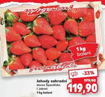 Kaufland Jahody zahradní nabídka