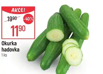 Globus Okurka hadovka nabídka