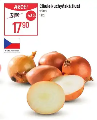 Globus Cibule kuchyňská žlutá nabídka
