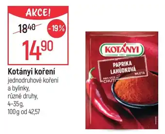 Globus Kotányi koření nabídka
