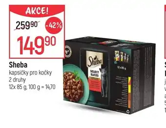 Globus Sheba nabídka