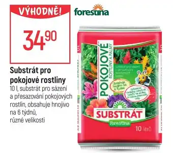Globus Substrát pro pokojové rostliny nabídka