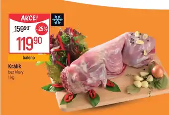 Globus Králík nabídka