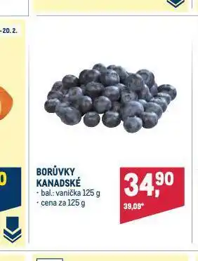 Makro Borůvky nabídka
