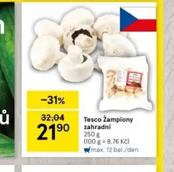 Tesco Žampiony zahradní nabídka