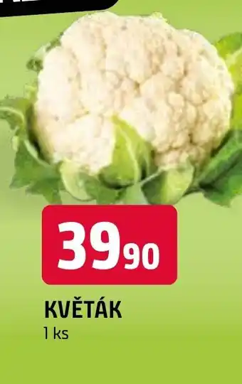 Terno KVĚTÁK nabídka