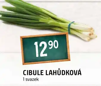 Terno CIBULE LAHŮDKOVÁ nabídka