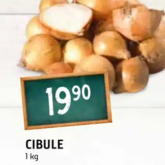 Terno CIBULE 1 kg nabídka