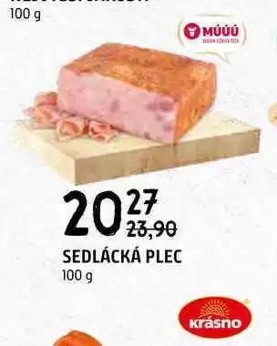 Terno SEDLÁCKÁ PLEC 100 g nabídka