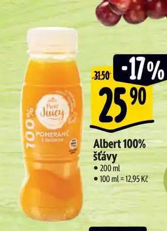 Albert Albert 100% šťávy 200 ml nabídka