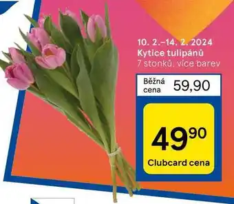 Tesco Kytice tulipánů nabídka