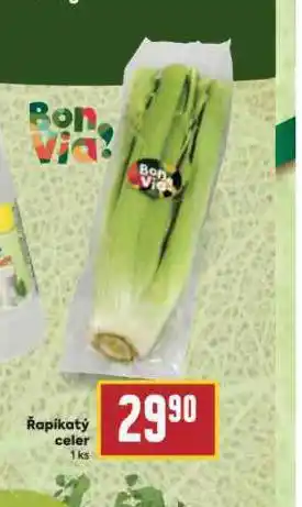 Billa Řapíkatý celer nabídka