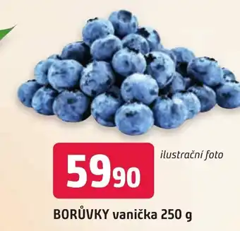 Trefa BORŮVKY vanička 250 g nabídka