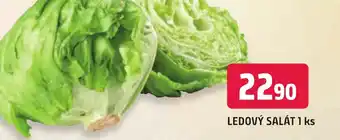 Trefa LEDOVÝ SALÁT 1 ks nabídka