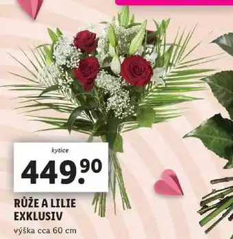 Lidl RŮŽE A LILIE EXKLUSIV nabídka