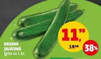 Penny Market OKURKA SALÁTOVÁ nabídka