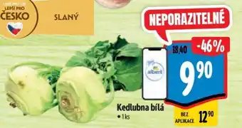 Albert Kedlubna bílá nabídka