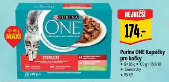 Albert Purina ONE Kapsičky pro kočky nabídka