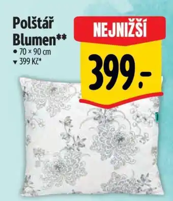 Albert Polštář Blumen nabídka