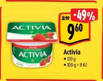 Albert Activia 120 g nabídka