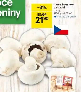 Tesco Tesco Žampiony zahradní 250 g nabídka