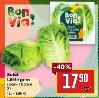 Billa Salát Little gem nabídka