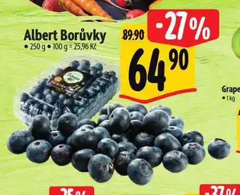 Albert Borůvky nabídka