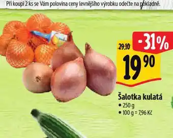 Šalotka kulatá