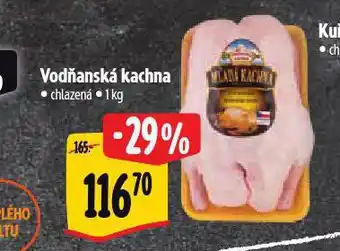 Albert Vodňanská kachna nabídka