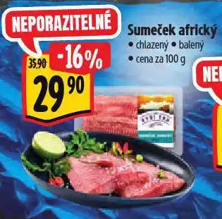 Albert Sumeček africký nabídka