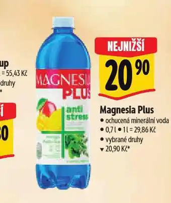 Albert Magnesia plus nabídka