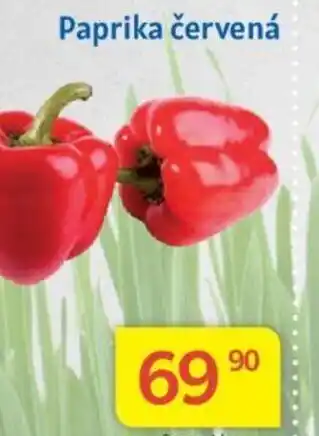 Kubík potraviny Paprika červená nabídka
