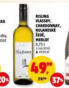 Penny Market Chardonnay nabídka