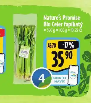 Albert Bio celer řapíkatý nabídka