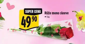 Albert Růže mono sleeve nabídka