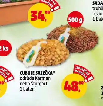 Penny Market Cibule sazečka nabídka