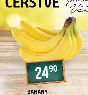Terno Banány nabídka