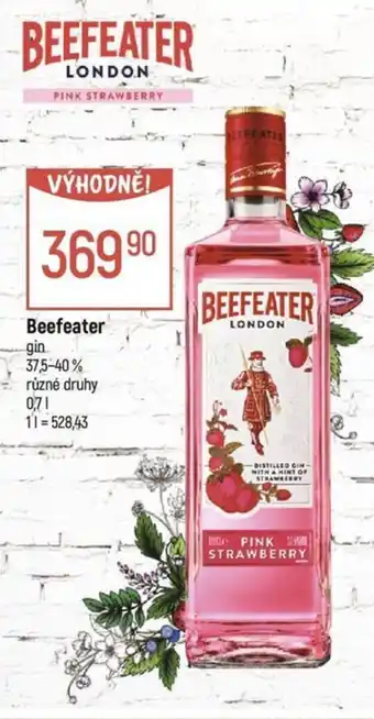 Globus Beefeater gin nabídka