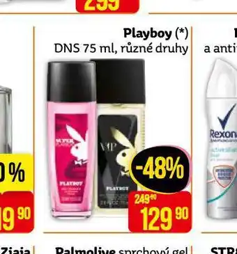Teta Playboy dns nabídka