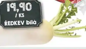 ŘEDKEV bílá