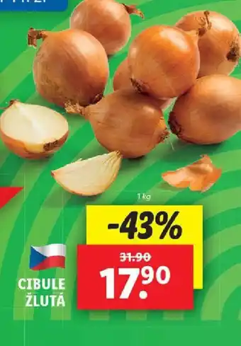 Lidl CIBULE ŽLUTÁ nabídka