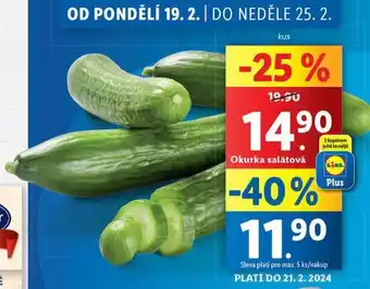 Lidl Okurka salátová nabídka