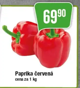 TEMPO Paprika červená nabídka