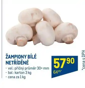 Makro ŽAMPIONY BÍLÉ NETŘÍDĚNÉ nabídka