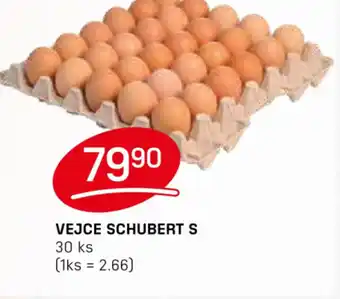 Flop VEJCE SCHUBERT S nabídka